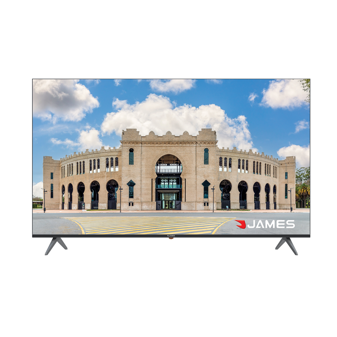 Televisor  LED S55 V2EL