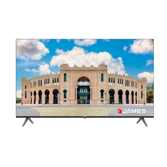 Televisor  LED S55 V2EL